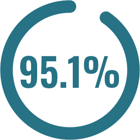 ninety five point one percent of black canadians